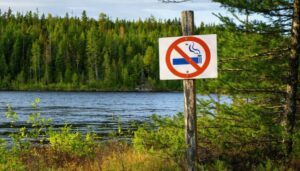 Scenic view of Northern Ontario's pristine wilderness, featuring a gentle boreal forest and a calm lake with a discreet "no vaping" sign in the foreground, emphasizing responsible vaping practices in nature.